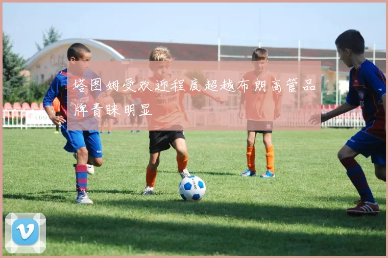 塔图姆受欢迎程度超越布朗高管品牌青睐明显